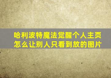 哈利波特魔法觉醒个人主页 怎么让别人只看到放的图片